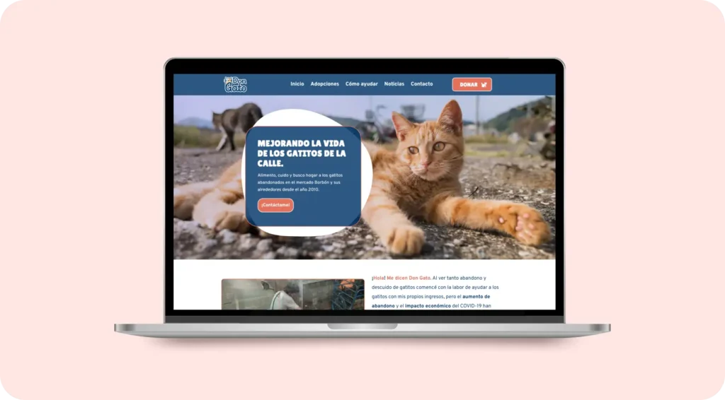 Don Gato Pagina Web